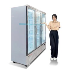 Tủ mát 3 cánh kính quạt lạnh Snow Village LC-1800XF mẫu mới 2025