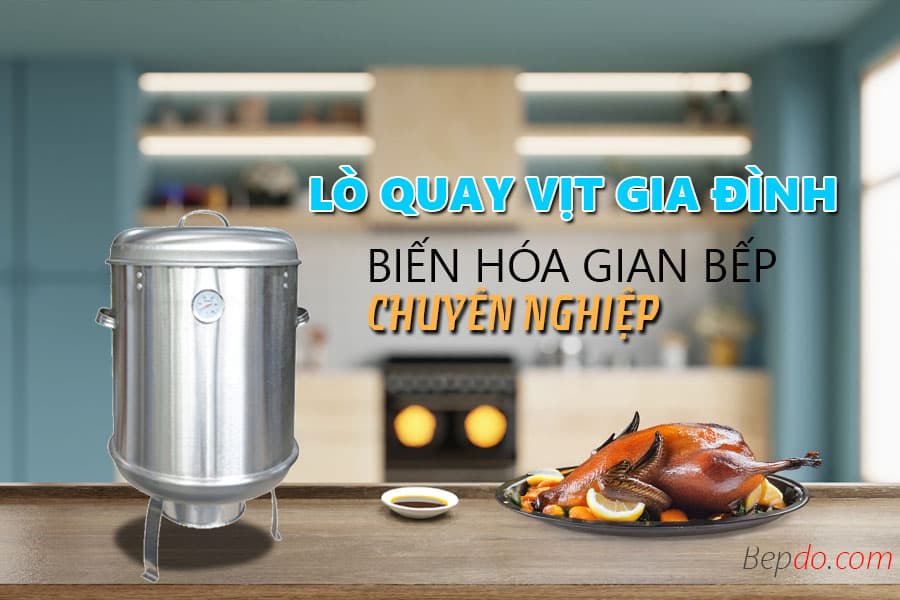 Lựa chọn lò quay vịt gia đình phù hợp