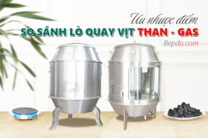 so sánh ưu nhược điểm lò quay vịt bằng than và gas